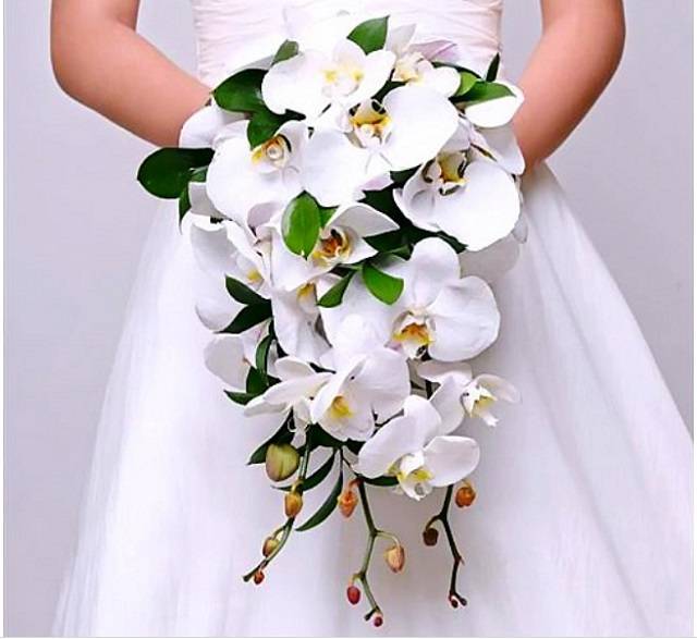 Hoa Lan Hồ Điệp Cưới Đang Là Xu Hướng Lựa Chọn Của Nhiều Cô Dâu Hiện Nay Hoa Lan Hồ Điệp Cưới Đang Là Xu Hướng Lựa Chọn Của Nhiều Cô Dâu Hiện Nay