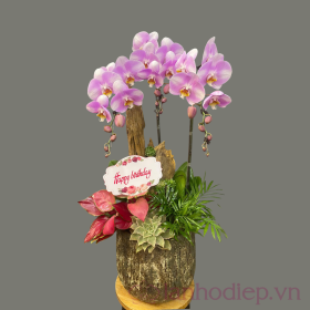 Chau Lan Ho Diep Ba Canh