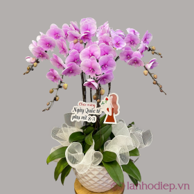 Lan Ho Diep 5Canh