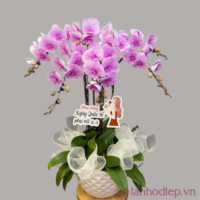 Lan Ho Diep 5Canh