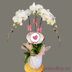 Lan Ho Diep Trang 3C
