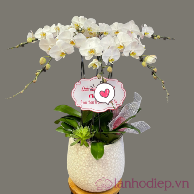 Lan Ho Diep Trang 5C 2
