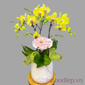 Lan Ho Diep Vang 3Canh