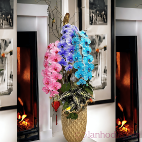 Lan Ho Diep Nu Hoang