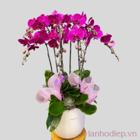 Lan Ho Diep Tim Nu Hoang 8C