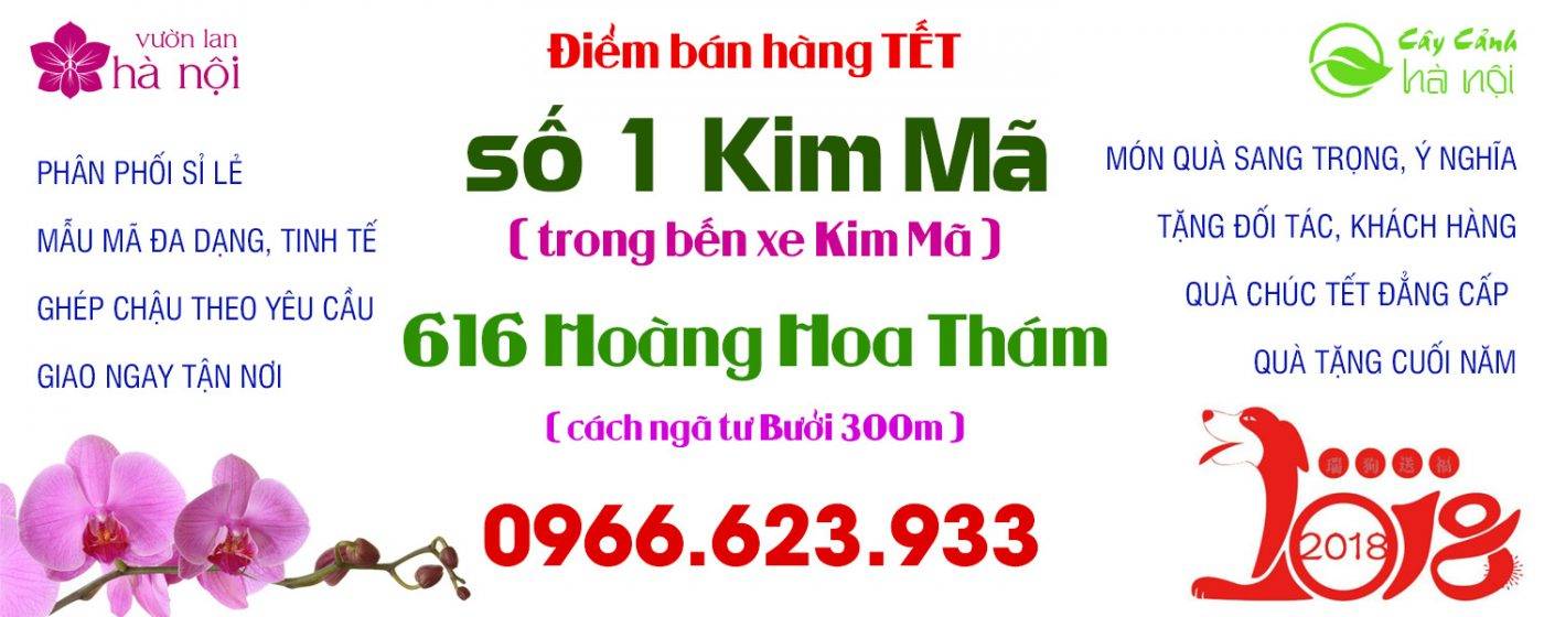 Shop Hoa Lan Hồ Điệp