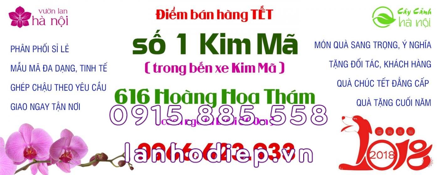Shop Hoa Lan Hồ Điệp