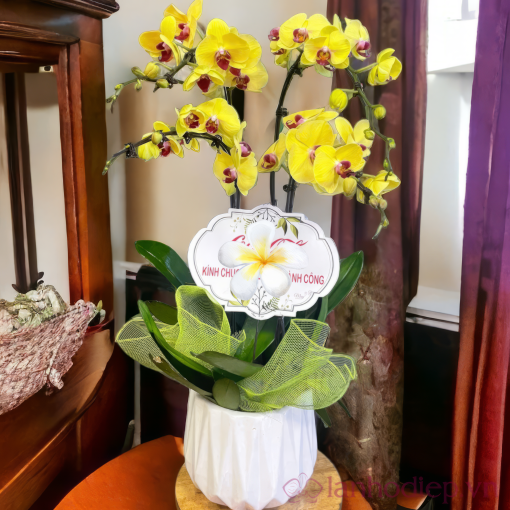 Lan Ho Diep Nang Vang