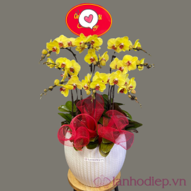 Lan Ho Diep Vang 9C