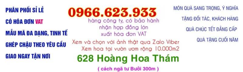 Shop Hoa Lan Hồ Điệp