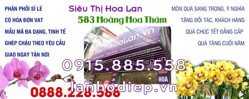 Shop Hoa Lan Hồ Điệp