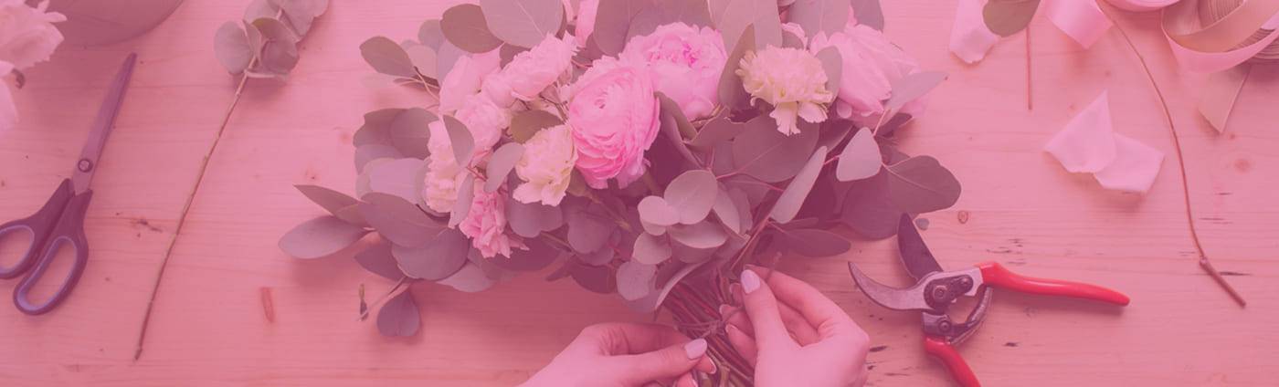 Shop Hoa Lan Hồ Điệp