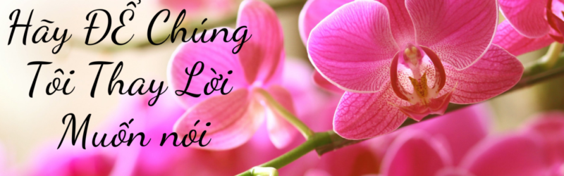 Shop Hoa Lan Hồ Điệp