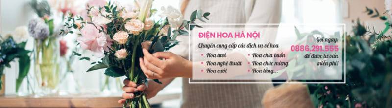 Shop Hoa Lan Hồ Điệp