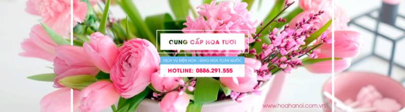 Shop Hoa Lan Hồ Điệp