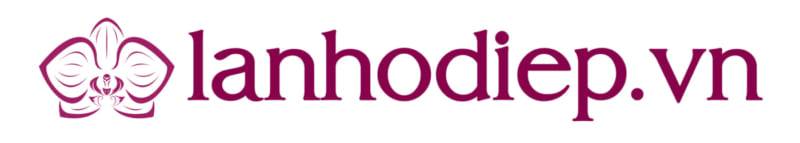 Shop Hoa Lan Hồ Điệp