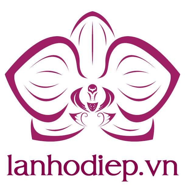 Lanhodiep Vn Png Logo Vuong
