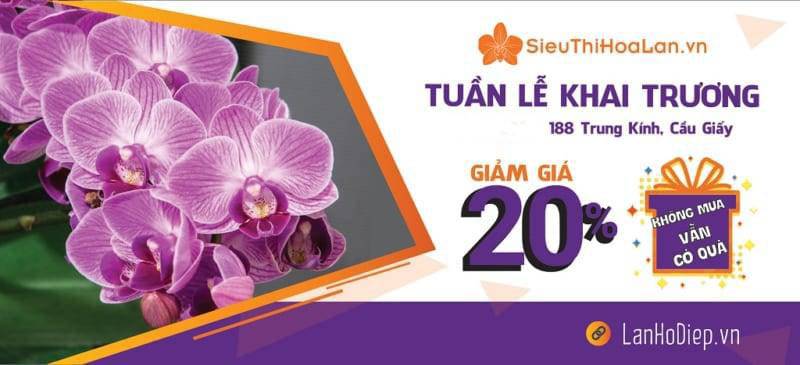 Shop Hoa Lan Hồ Điệp
