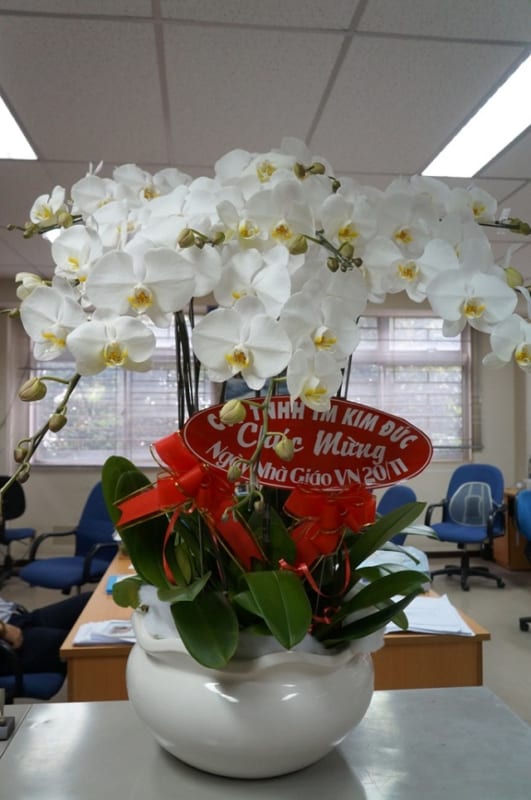 Shop Hoa Lan Hồ Điệp