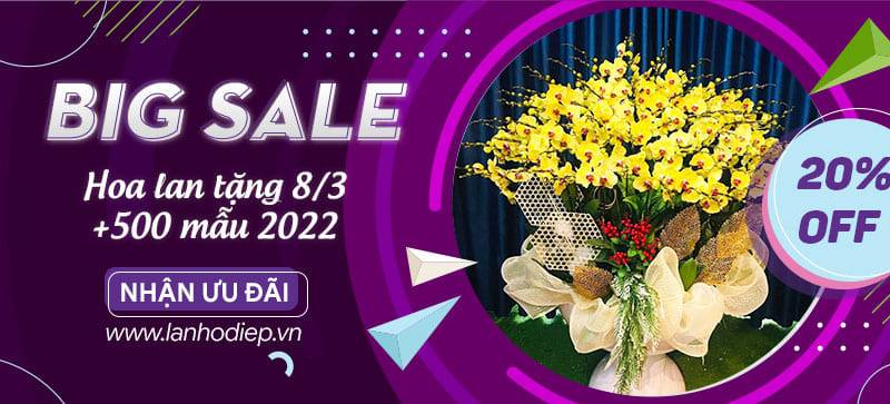 Shop Hoa Lan Hồ Điệp
