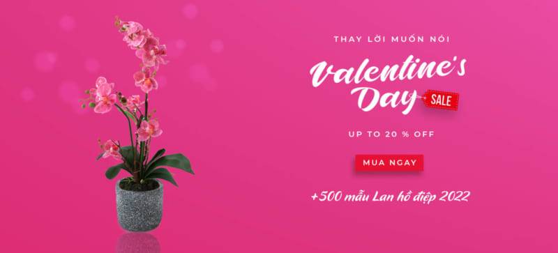 Shop Hoa Lan Hồ Điệp