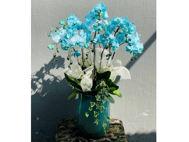 Shop Hoa Lan Hồ Điệp