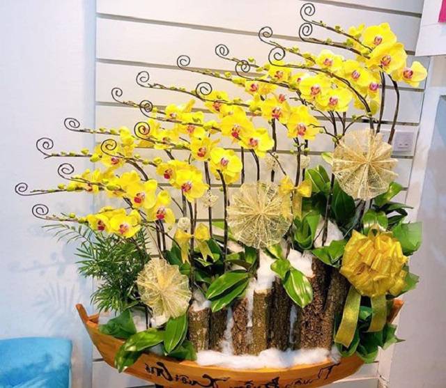 Shop Hoa Lan Hồ Điệp