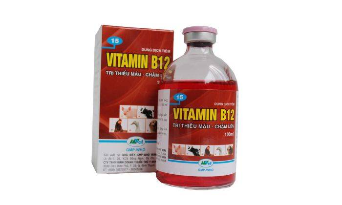 Công Dụng Của Vitamin B12 Đối Với Sự Phát Triển Của Lan