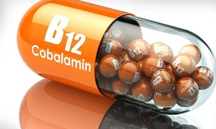 Có Nên Dùng Vitamin B12 Cho Cây Lan Không?