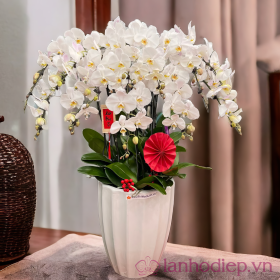 Lan Ho Diep Trang 12C