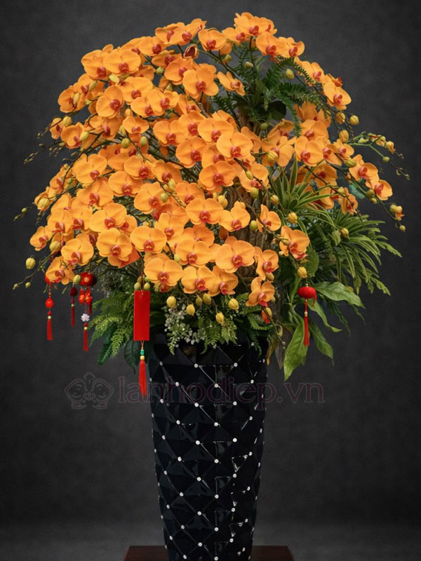 Dịch Vụ Thu Mua Lan Hồ Điệp Sau Tết Tận Nơi Giá Tốt 25 Dịch Vụ Thu Mua Lan Hồ Điệp Sau Tết Uy Tín, Định Giá Minh Bạch, Nhận Lan Số Lượng Lớn Tại Nhà.