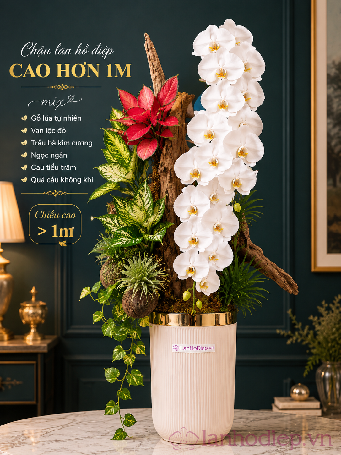 Mẫu Lan Hồ Điệp Tặng Khai Trương Sang Trọng – Lời Chúc Khởi Đầu Thuận Lợi Và Phát Triển 12 Lan Hồ Điệp Tặng Khai Trương
