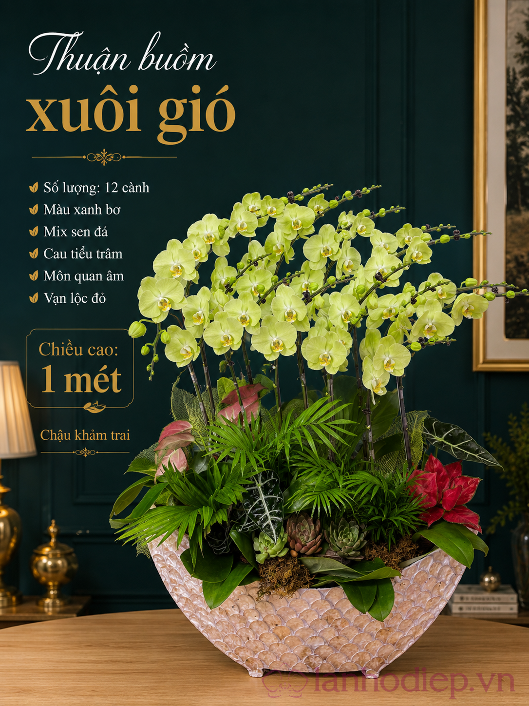Mẫu Lan Hồ Điệp Tặng Khai Trương Sang Trọng – Lời Chúc Khởi Đầu Thuận Lợi Và Phát Triển 16 Lan Hồ Điệp Tặng Khai Trương