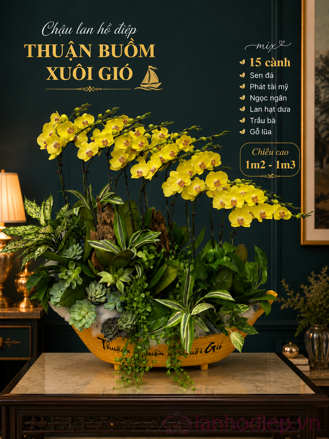 Mẫu Lan Hồ Điệp Tặng Khai Trương Sang Trọng – Lời Chúc Khởi Đầu Thuận Lợi Và Phát Triển 13 Lan Hồ Điệp Tặng Khai Trương