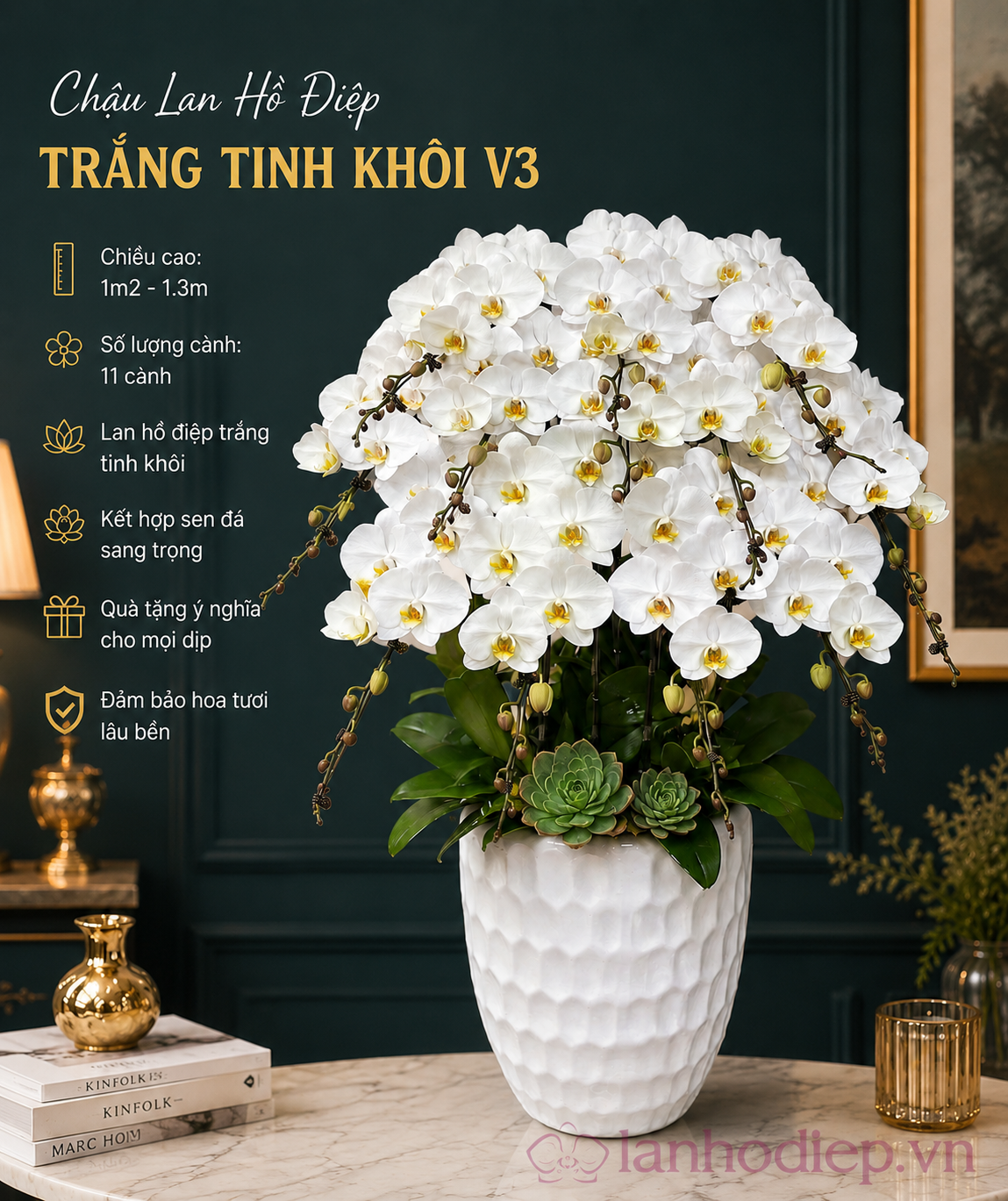 Mẫu Lan Hồ Điệp Tặng Khai Trương Sang Trọng – Lời Chúc Khởi Đầu Thuận Lợi Và Phát Triển 17 Lan Hồ Điệp Tặng Khai Trương