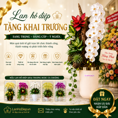 Lan Ho Diep Tang Khai Truong 2