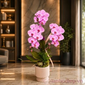 Lan Ho Diep Khai Giang 2