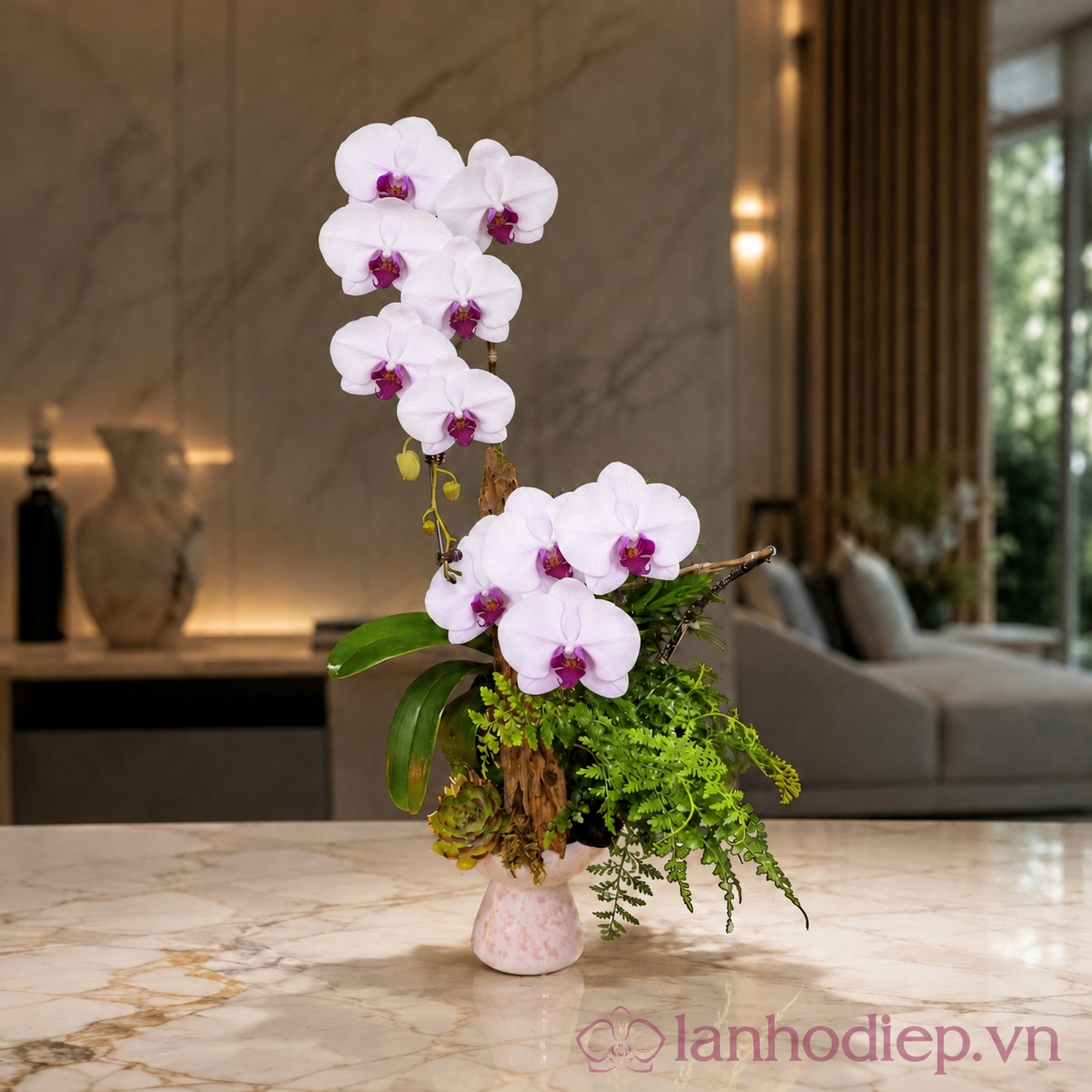 Lan Hồ Điệp Khai Giảng 2 Cành Trắng 3 Lan Ho Diep Khai Giang 2 3
