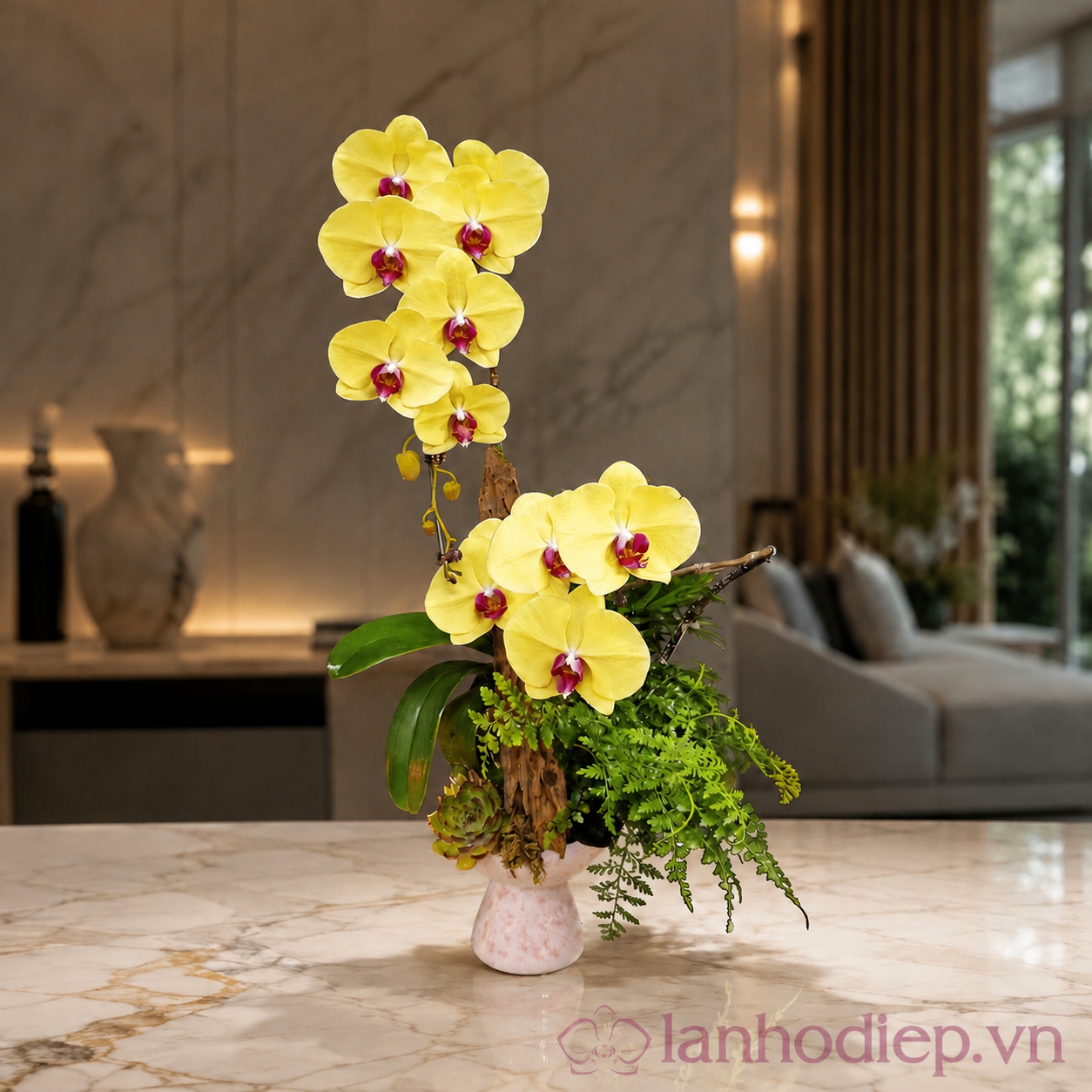 Lan Hồ Điệp Khai Giảng 2 Cành Trắng 2 Lan Ho Diep Khai Giang 2
