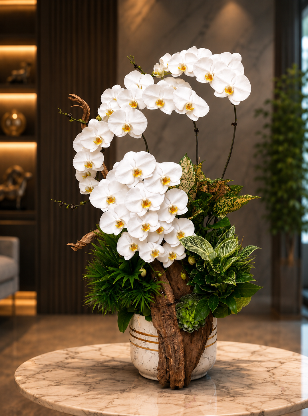 Lan Hồ Điệp Trắng