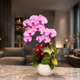 Lan Ho Diep Uom Mam
